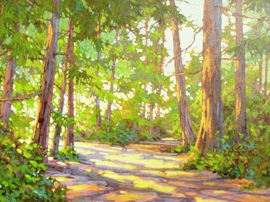 Forest Shadows
