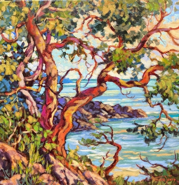 Island Arbutus, 12”x12”